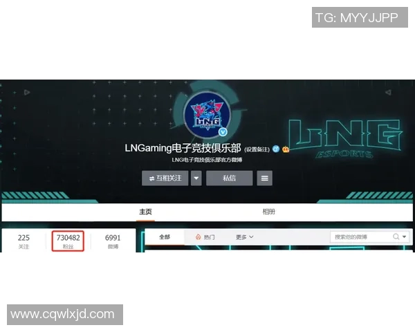 LNG战队在王者荣耀团队协作排名中创下新高展现出卓越团队精神与实力